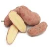 Fall-Planted Organic French Fingerling Seed Potatoes (lb) -Brandt Sales organic french fingerling seed potatoes lb