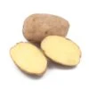 Fall-Planted Organic German Butterball Seed Potatoes (lb)