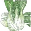 Organic Greens, Pak Choi (1/4 Lb) -Brandt Sales organic greens pak choi 1 4 lb
