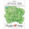 Black Seeded Simpson Lettuce Seeds (Organic) -Brandt Sales organic lettuce black seeded simpson
