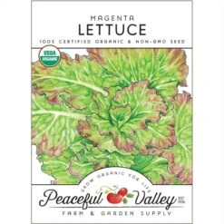 Magenta Lettuce Seeds (Organic)
