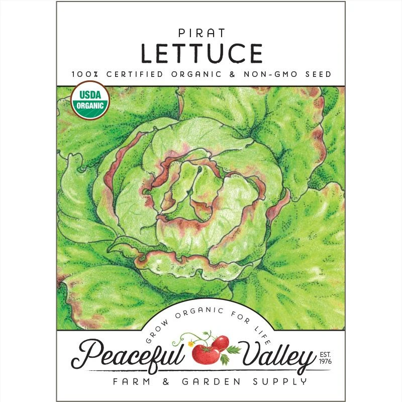 Pirat Lettuce Seeds (Organic) 3 Pirat Lettuce Seeds (Organic)
