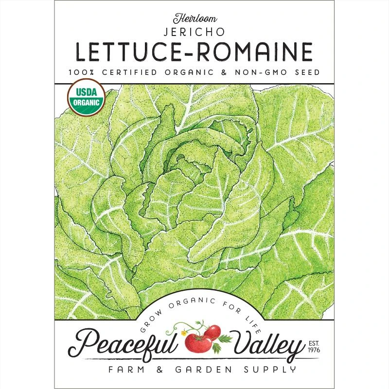 Romaine, Jericho Lettuce Seeds (Organic) 3 Romaine, Jericho Lettuce Seeds (Organic)
