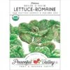 Rouge D'Hiver Lettuce Seeds (Organic) -Brandt Sales organic lettuce rouge d hiver