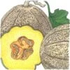 Organic Melon, Hearts Of Gold (1/4 Lb) 2 Organic Melon, Hearts Of Gold (1/4 Lb) -Brandt Sales organic melon hearts of gold 1 4 lb
