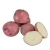 Norland Red Potato (Organic) -Brandt Sales organic norland red seed potatoes lb 6b9966ea ea7d 4f00 9166 bc2e09f4a3b9