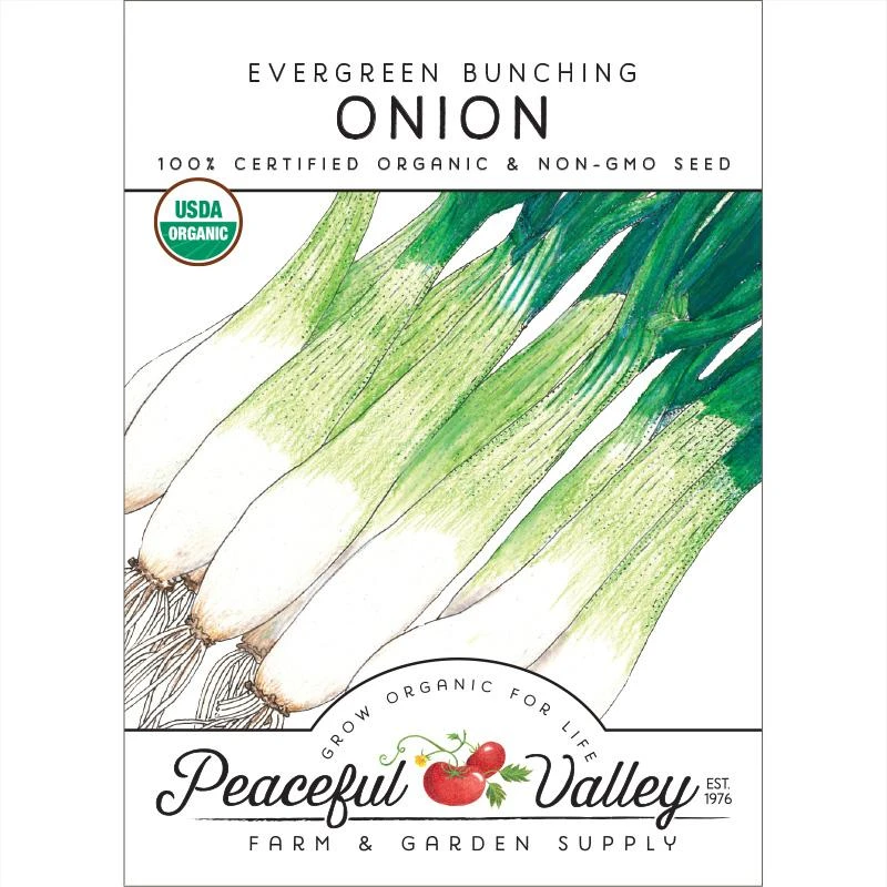 Evergreen Bunching Onion Seeds (Organic) 3 Evergreen Bunching Onion Seeds (Organic)