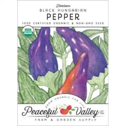 Black Hungarian Pepper Seeds (Organic)