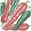 Organic Pepper, Hot New Mexico Joe Parker (1 Oz) -Brandt Sales organic pepper hot new mexico joe parker 1 oz