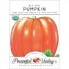 Big Max Pumpkin Seeds (Organic) -Brandt Sales organic pumpkin big max