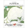 Casper Pumpkin Seeds (Organic) -Brandt Sales organic pumpkin casper