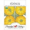Jack Be Little Pumpkin Seeds (Organic) -Brandt Sales organic pumpkin jack be little