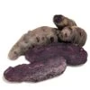 Fall-Planted Organic Purple Peruvian Fingerling Seed Potatoes (lb) -Brandt Sales organic purple peruvian fingerling seed potatoes lb