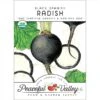 Black Spanish Radish Seeds (Organic) -Brandt Sales organic radish black spanish