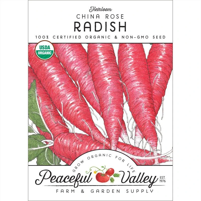 China Rose Radish Seeds (Organic) 3 China Rose Radish Seeds (Organic)