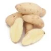 Russian Banana Fingerling Potato (Organic) -Brandt Sales organic russian banana fingerling seed potatoes lb de2e11fd c8ce 4ba7 abfb fc72978e4cf3