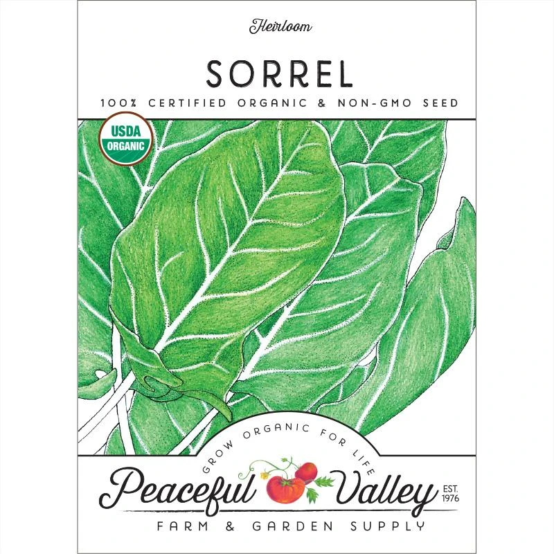 Organic Sorrel 3 Organic Sorrel