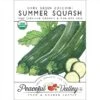 Dark Green Zucchini Summer Squash Seeds (Organic) -Brandt Sales organic squash summer dark green zucchini