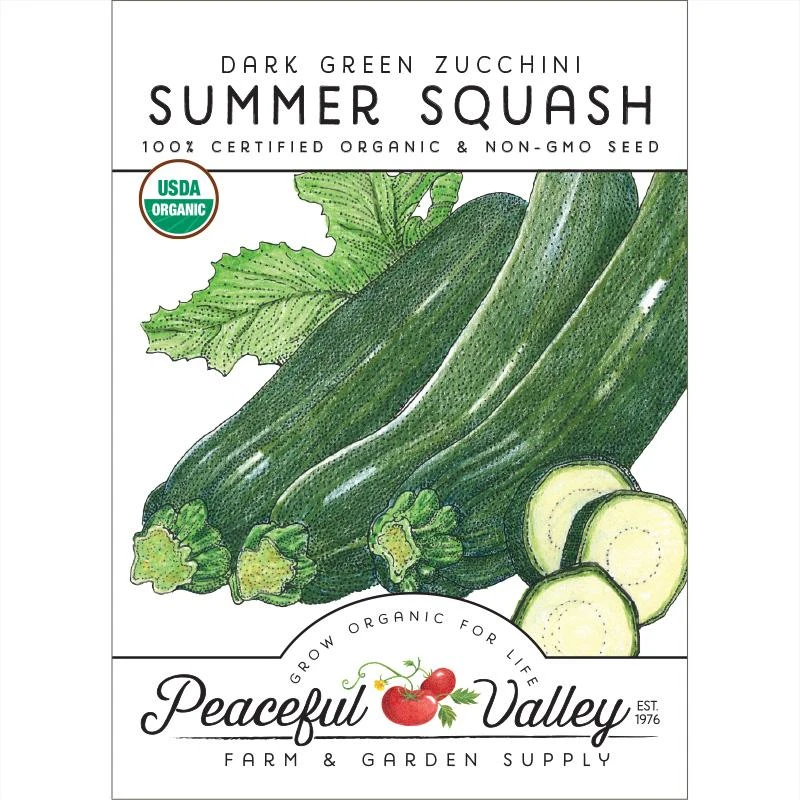 Dark Green Zucchini Summer Squash Seeds (Organic) 3 Dark Green Zucchini Summer Squash Seeds (Organic)