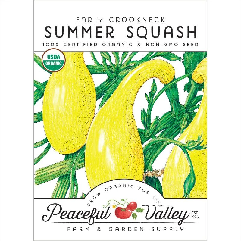 Early Crookneck Summer Squash Seeds (Organic) 3 Early Crookneck Summer Squash Seeds (Organic)