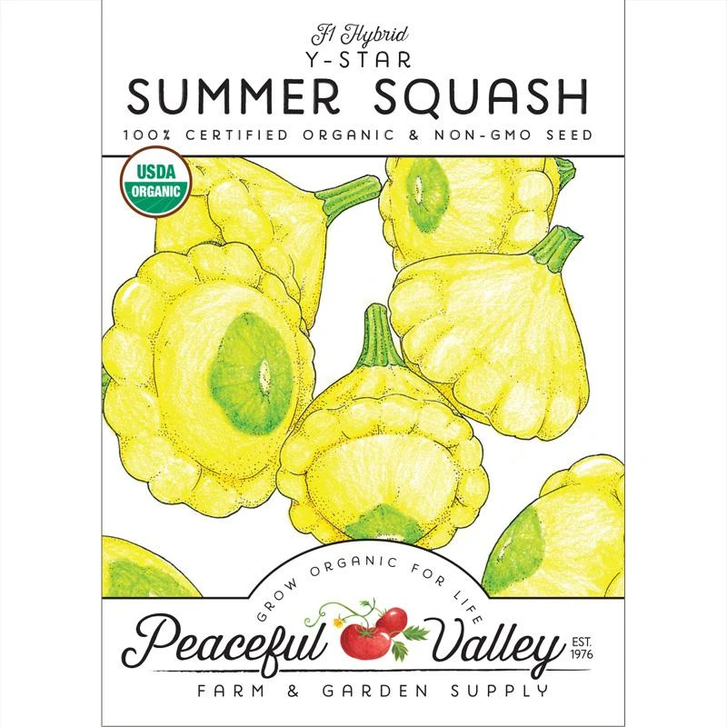 Y-Star Summer Squash Seeds (Organic) 3 Y-Star Summer Squash Seeds (Organic)