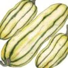 Organic Squash, Winter Delicata (1 Oz) -Brandt Sales organic squash winter delicata 1 oz