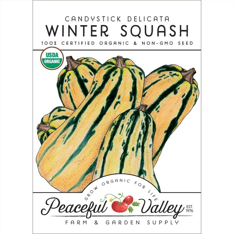 Delicata Candystick Winter Squash Seeds (Organic) 3 Delicata Candystick Winter Squash Seeds (Organic)