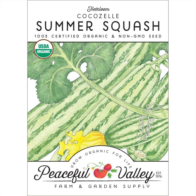 Cocozelle Summer Squash Seeds (Organic) 3 Cocozelle Summer Squash Seeds (Organic)