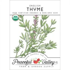Organic Thyme, English