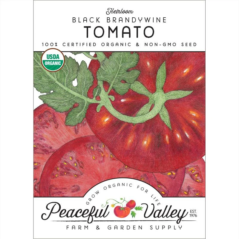 Brandywine Black Tomato Seeds (Organic) 3 Brandywine Black Tomato Seeds (Organic)