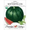 Sugar Baby Watermelon Seeds (Organic) -Brandt Sales organic watermelon sugar baby