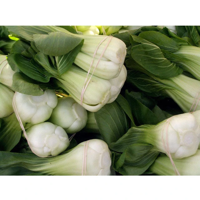 Pak Choi Baby Shanghai Greens Seeds (Organic) 5 Pak Choi Baby Shanghai Greens Seeds (Organic) - Image 3
