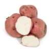 Red Pontiac Potato (Organic) 2 Red Pontiac Potato (Organic) -Brandt Sales red pontiac organic potato lb