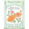 Renee's Garden Calendula Butterfly Flashback (Heirloom) -Brandt Sales renee s garden calendula butterfly flashback heirloom