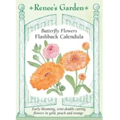 Renee's Garden Calendula Butterfly Flashback (Heirloom)