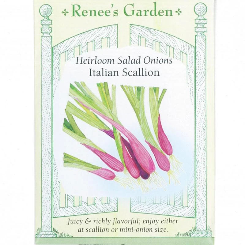 Renee's Garden Onion Scallions Italian (Heirloom) 3 Renee's Garden Onion Scallions Italian (Heirloom)