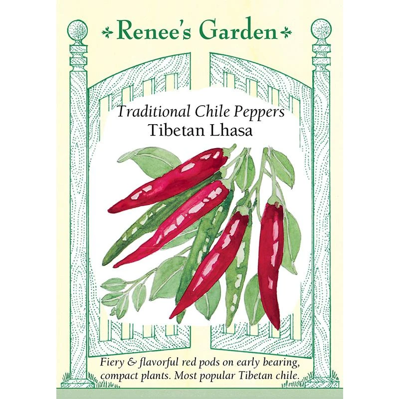 Renee's Garden Pepper Chile Tibetan Lhasa 3 Renee's Garden Pepper Chile Tibetan Lhasa