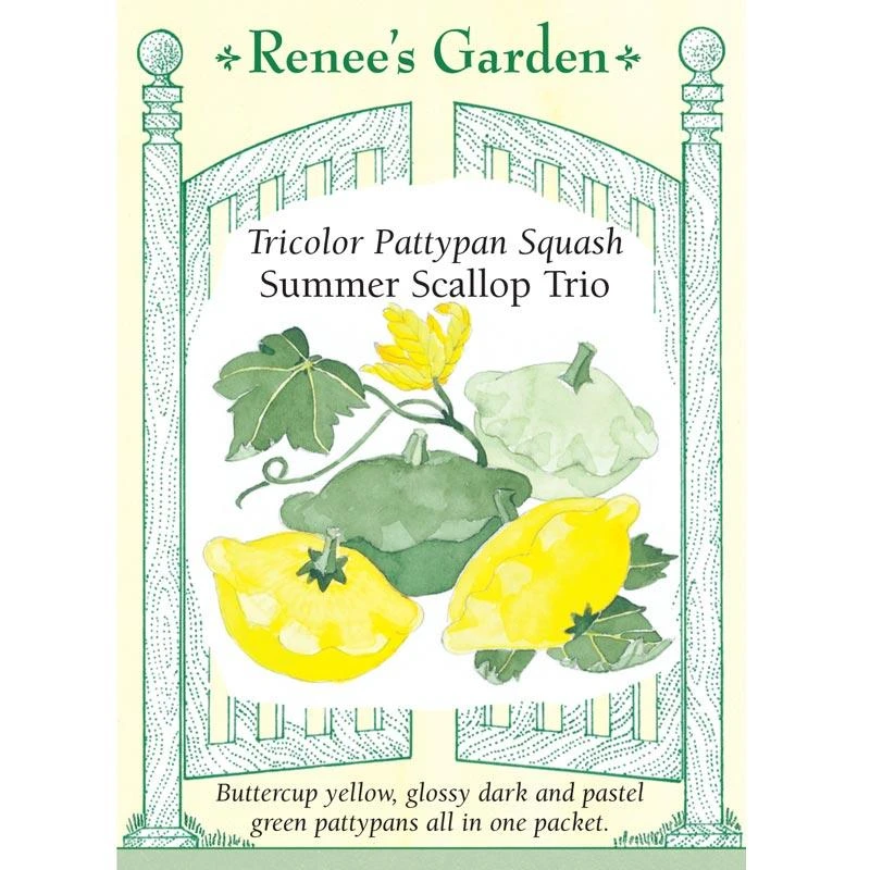 Renee's Garden Squash Summer Scallop Trio 3 Renee's Garden Squash Summer Scallop Trio