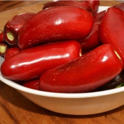 Hot Jalapeo Early Pepper Seeds (Organic) -Brandt Sales ripe jalapeno pepper web