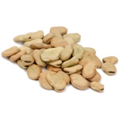 Organic Bean, Fava Broad Windsor (1/2 Lb) -Brandt Sales scl705 cat 1