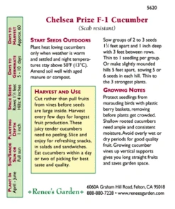 Renee's Garden Cucumber English Chelsea Prize -Brandt Sales snv4005 pb