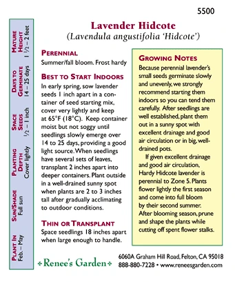 Renee's Garden Lavender Hidcote 4 Renee's Garden Lavender Hidcote - Image 2