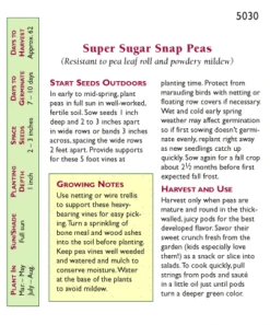 Renee's Garden Pea Snap Super Sugar -Brandt Sales snv4045 pb