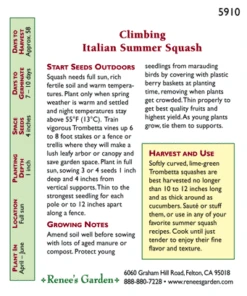 Renee's Garden Squash Summer Climbing Trombetta Di Albinga (Heirloom) -Brandt Sales snv4050 pb