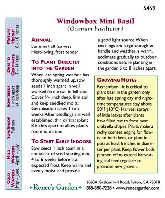 Renee's Garden Basil Mini Windowbox 4 Renee's Garden Basil Mini Windowbox - Image 2