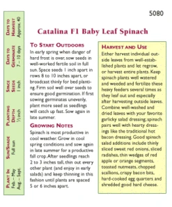 Renee's Garden Spinach Baby Leaf Catalina -Brandt Sales snv4077 pb