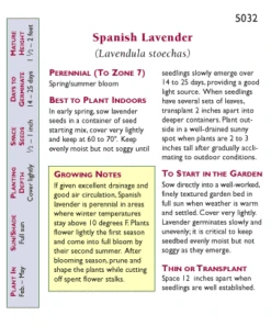 Renee's Garden Spanish Lavender Purple Ribbons -Brandt Sales snv4093 pb 1