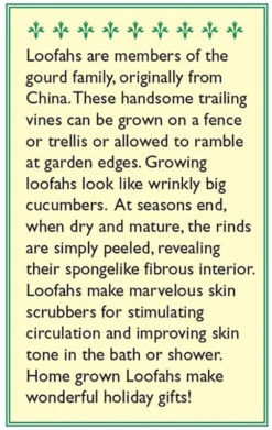 Renee's Garden Gourd Compact Vining Bath Loofah -Brandt Sales snv4218 b 1