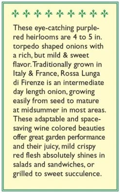 Renee's Garden Onion Rossa Lunga Di Firenze (Heirloom) -Brandt Sales snv4221 b