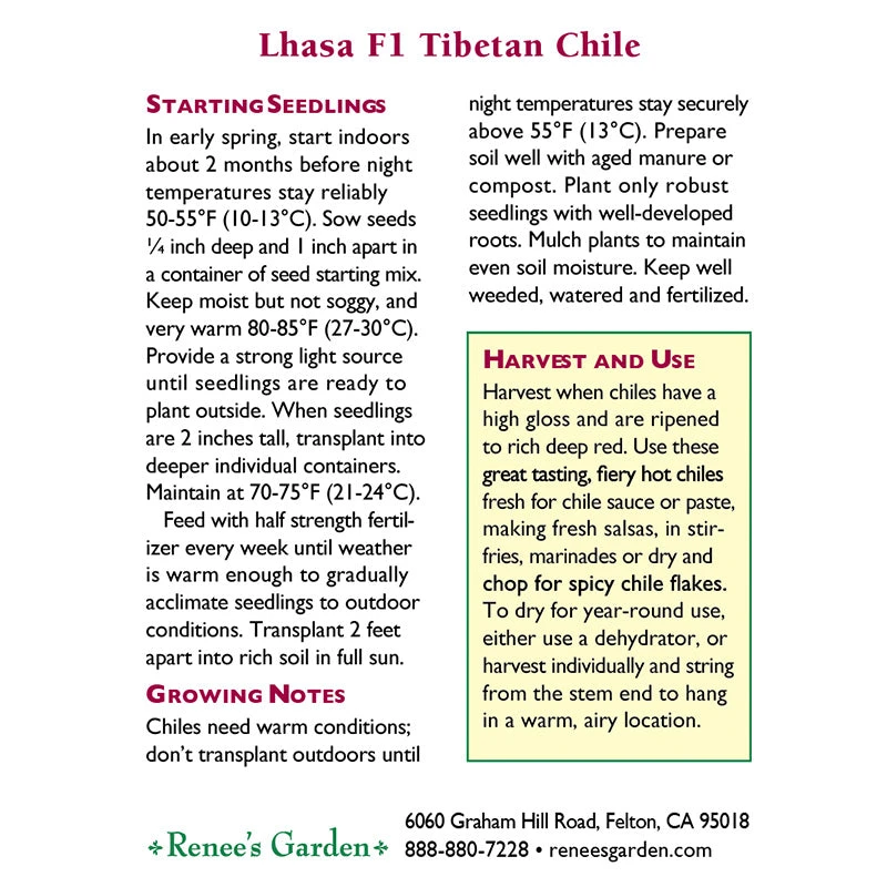 Renee's Garden Pepper Chile Tibetan Lhasa 4 Renee's Garden Pepper Chile Tibetan Lhasa - Image 2